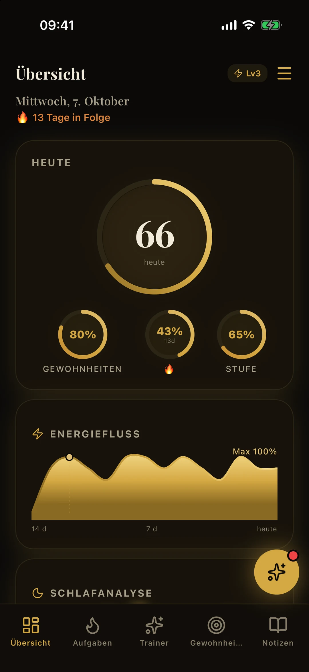 Ausschnitt der Übersicht: Serie von 13 Tagen, Ring des heutigen Fortschritts, Gewohnheiten 80 % und Level